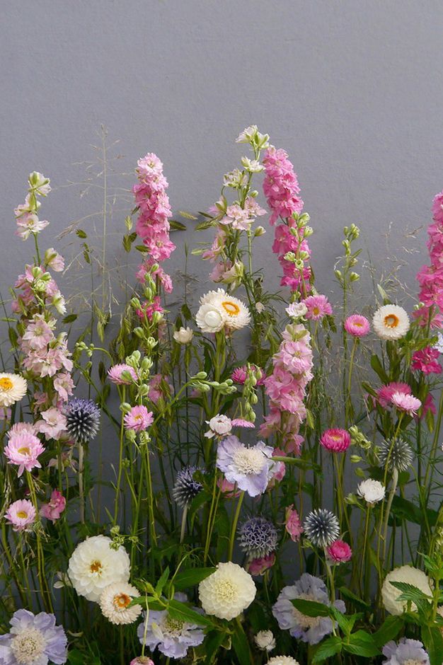 Line Flowers