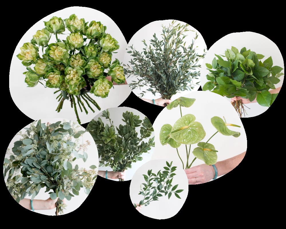 Foliage & Greens