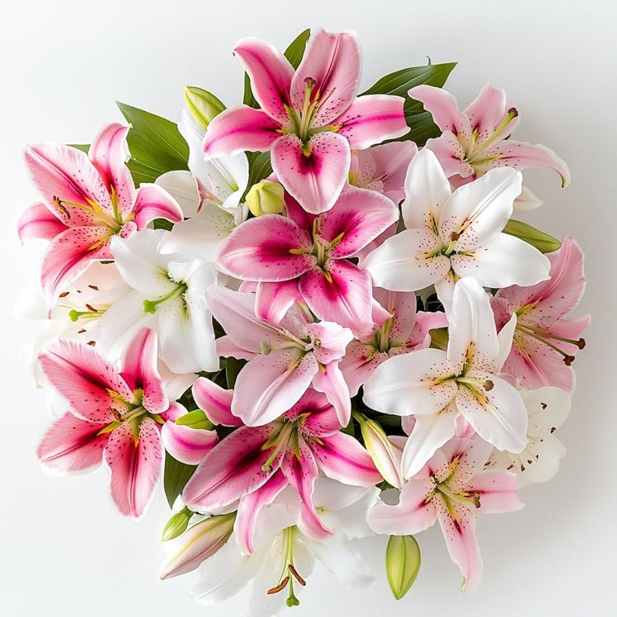 Lilies