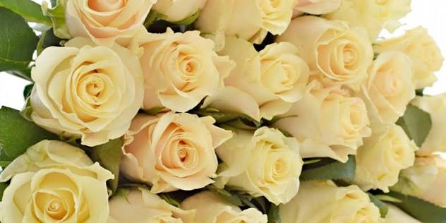 Rose Pearl Tacazzi - Image 2